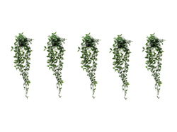 Set 5 hangkunstplanten